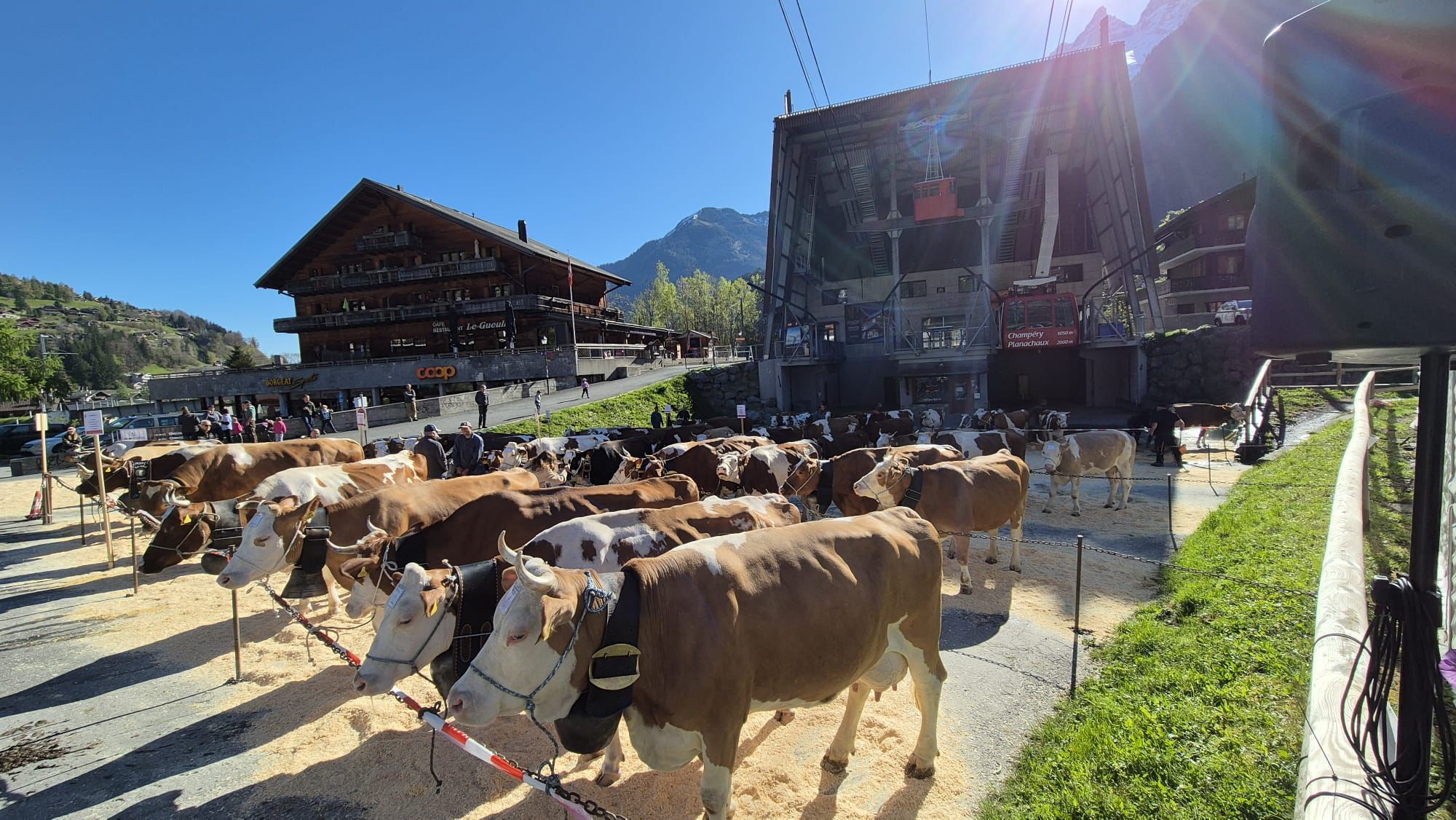 Champéry: la traditionnelle Fête du Bétail se déroulera samedi sur la Place du Téléphérique